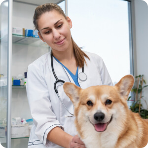 DR toth orsolya p